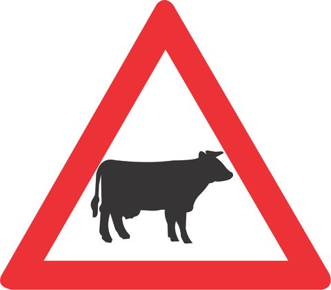 Domestic animals (cattle) road sign (W310)