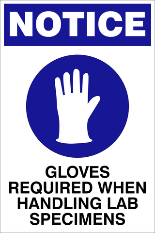 Notice : Gloves required safety sign (LAB07)