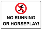 No running or horseplay safety sign  (PR08)